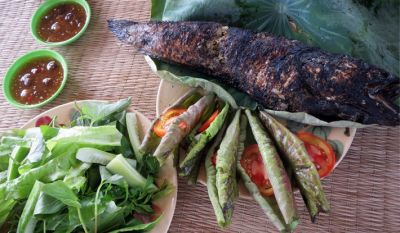 MỸ THO - BẾN TRE - TÁT MƯƠNG BẮT CÁ - SGN