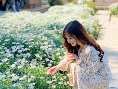 ĐÀ LẠT – CÁNH ĐỒNG HOA CẨM TÚ CẦU – PUPPY FARM – QUE GARDEN - ZOODOO